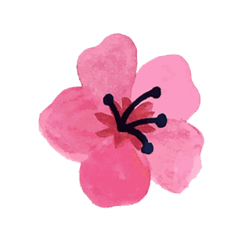 pink flower