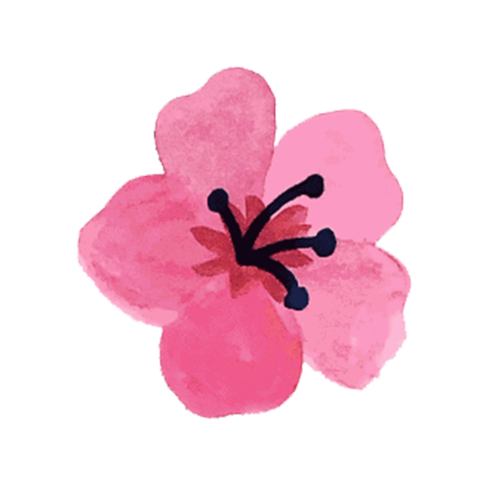 sunda-river-north-chicago-modern-southeast-asian-cuisine